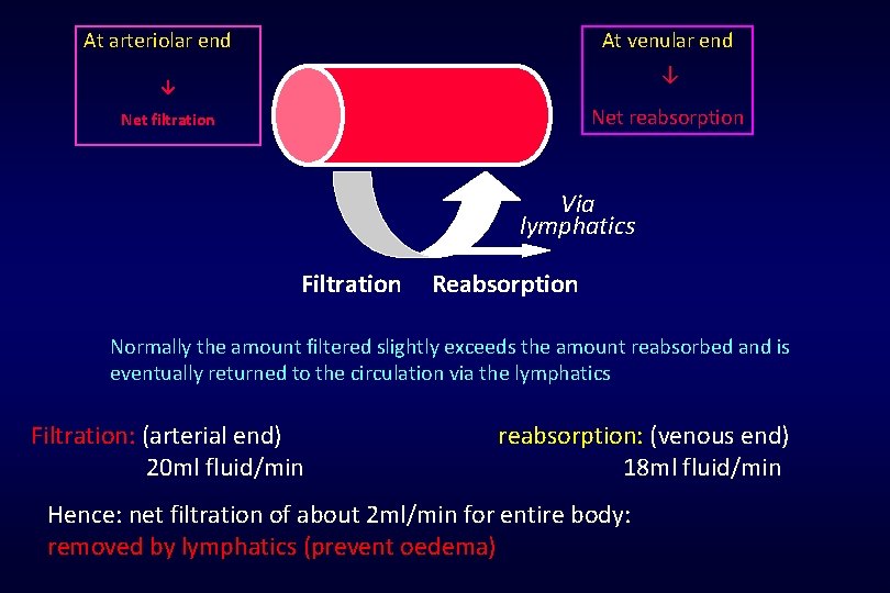 At venular end At arteriolar end ↓ ↓ Net reabsorption Net filtration Via lymphatics