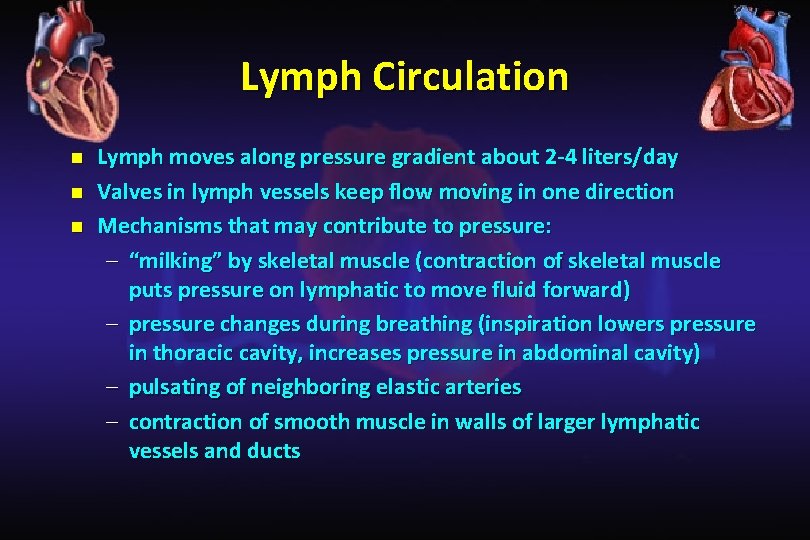 Lymph Circulation n Lymph moves along pressure gradient about 2 -4 liters/day Valves in