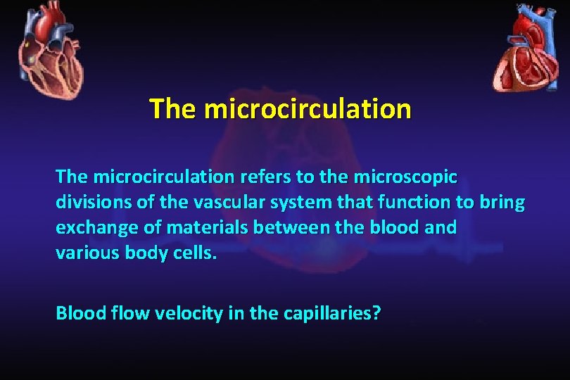 The microcirculation refers to the microscopic divisions of the vascular system that function to