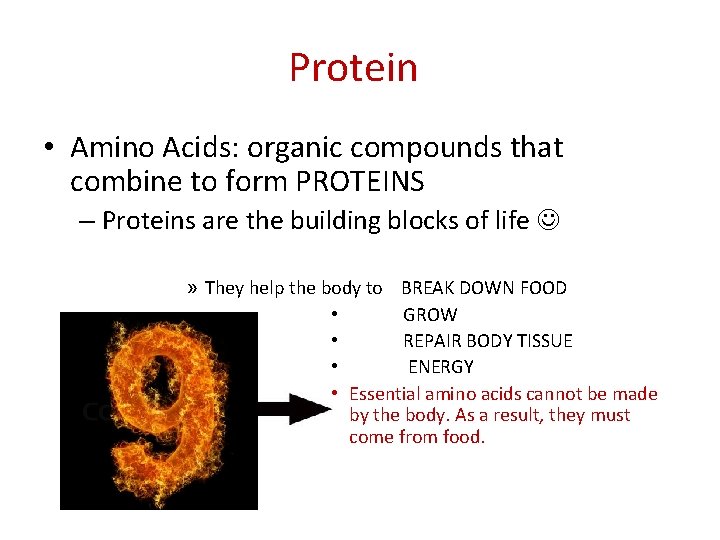 Protein • Amino Acids: organic compounds that combine to form PROTEINS – Proteins are