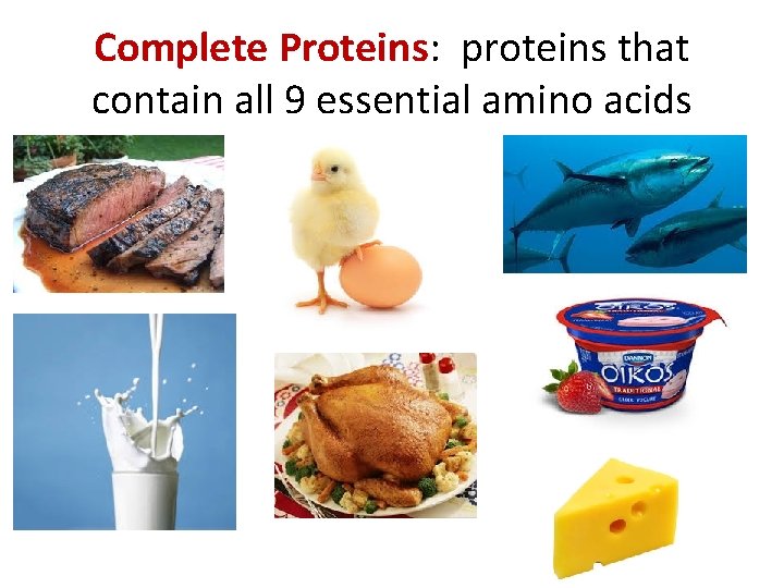 Complete Proteins: proteins that contain all 9 essential amino acids 