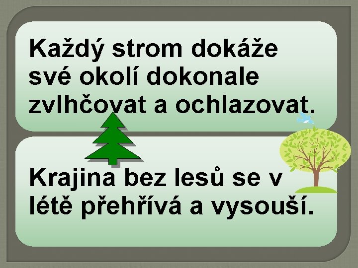 Každý strom dokáže své okolí dokonale zvlhčovat a ochlazovat. Krajina bez lesů se v