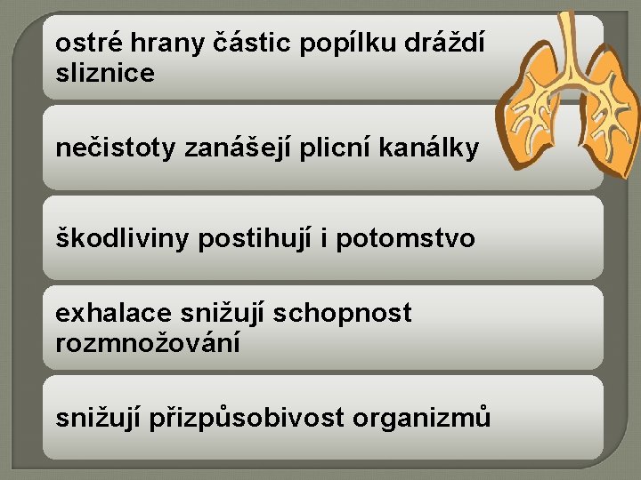 ostré hrany částic popílku dráždí sliznice nečistoty zanášejí plicní kanálky škodliviny postihují i potomstvo
