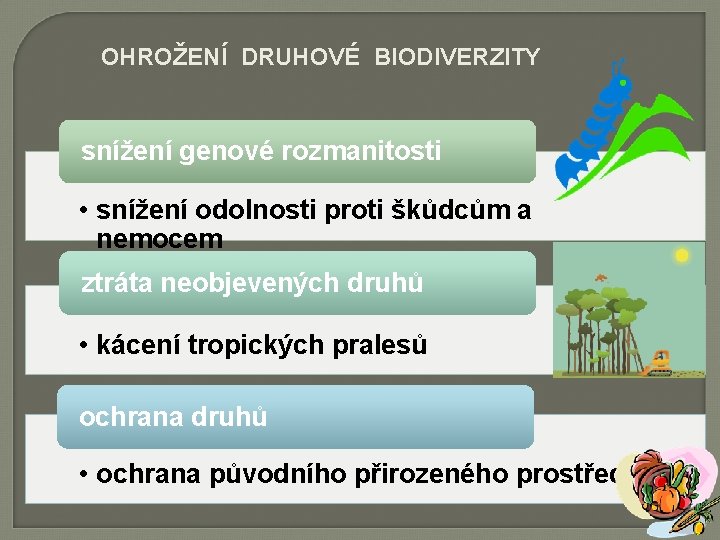 OHROŽENÍ DRUHOVÉ BIODIVERZITY snížení genové rozmanitosti • snížení odolnosti proti škůdcům a nemocem ztráta