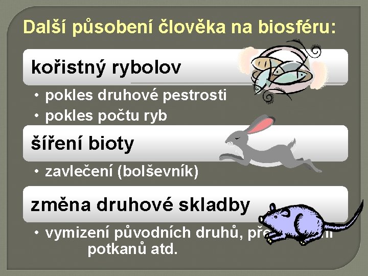 Další působení člověka na biosféru: kořistný rybolov • pokles druhové pestrosti • pokles počtu