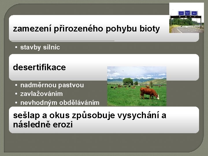 zamezení přirozeného pohybu bioty • stavby silnic desertifikace • nadměrnou pastvou • zavlažováním •