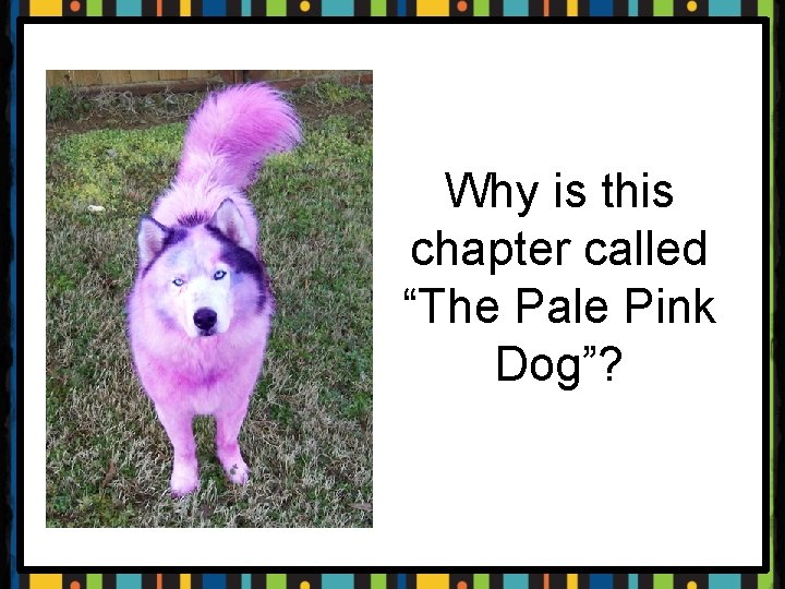 Why is this chapter called “The Pale Pink Dog”? 