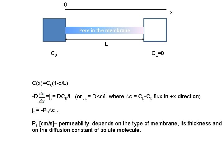 0 x Pore in the membrane L C 0 CL=0 C(x)=C 0(1 -x/L) -D