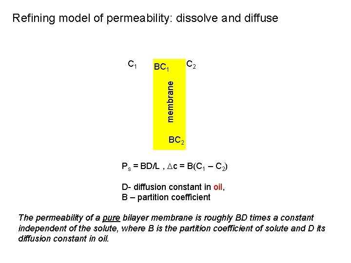 Refining model of permeability: dissolve and diffuse BC 1 C 2 membrane C 1