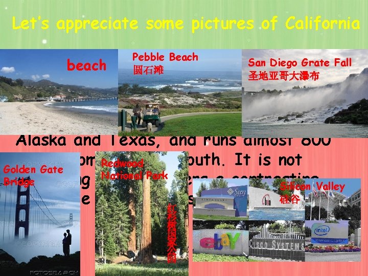 Let’s appreciate some pictures of California beach Pebble Beach 圆石滩 San Diego Grate Fall