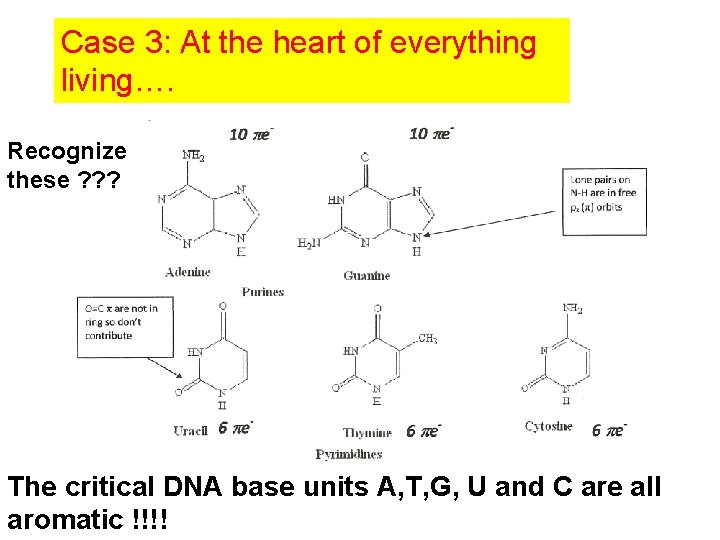 Case 3: At the heart of everything living…. Recognize these ? ? ? The Case 3: At the heart of everything living…. Recognize these ? ? ? The
