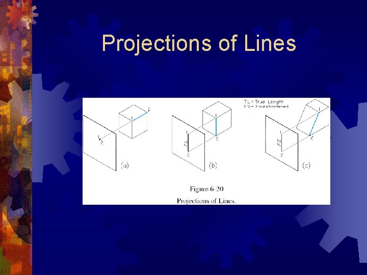Projections of Lines 