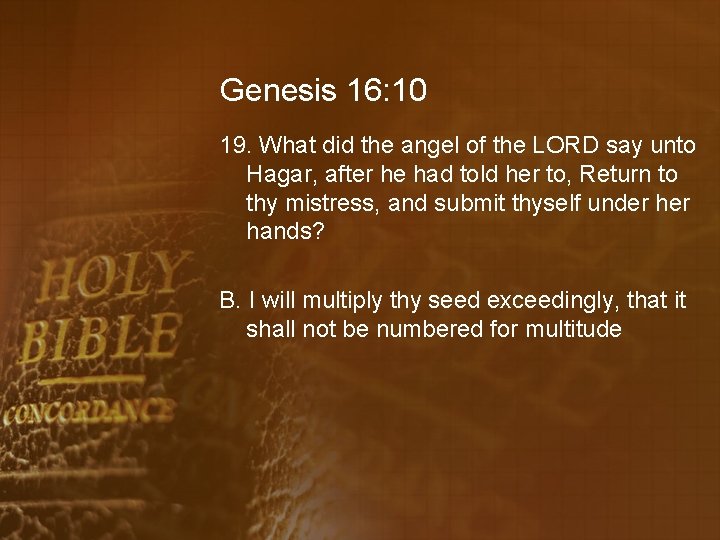 Genesis 16: 10 19. What did the angel of the LORD say unto Hagar,