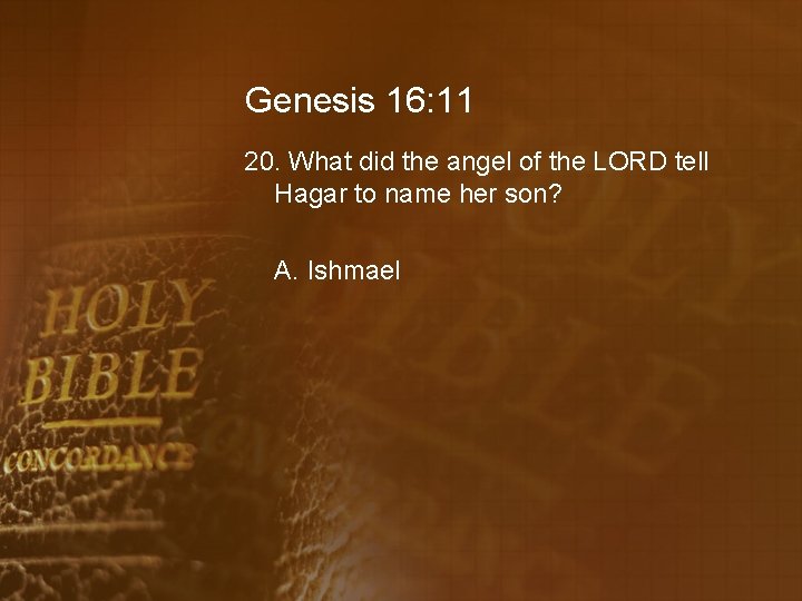 Genesis 16: 11 20. What did the angel of the LORD tell Hagar to