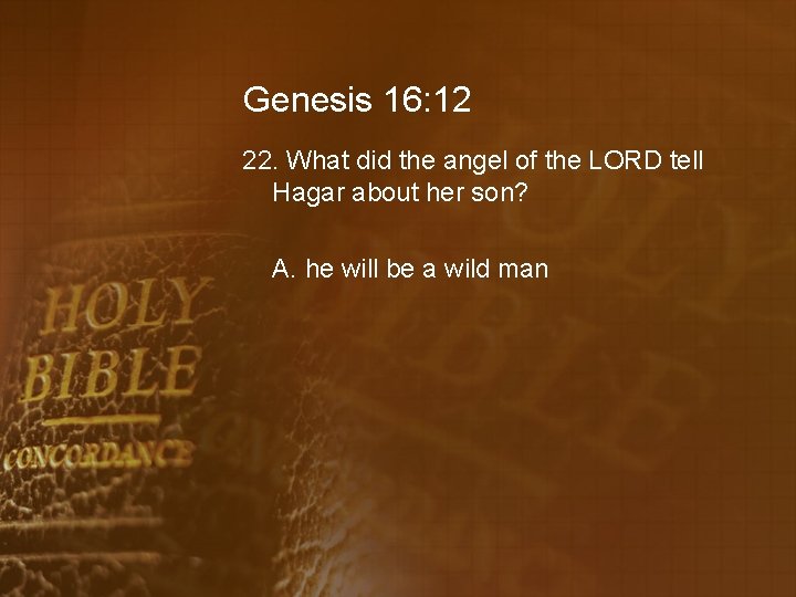 Genesis 16: 12 22. What did the angel of the LORD tell Hagar about