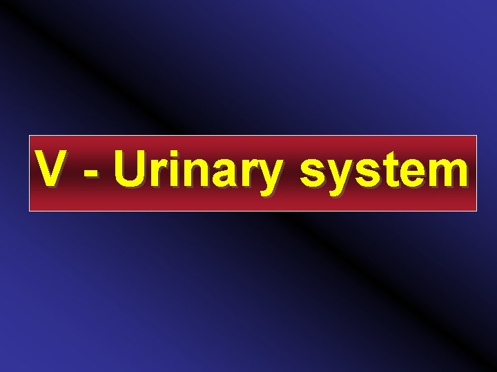 V - Urinary system 