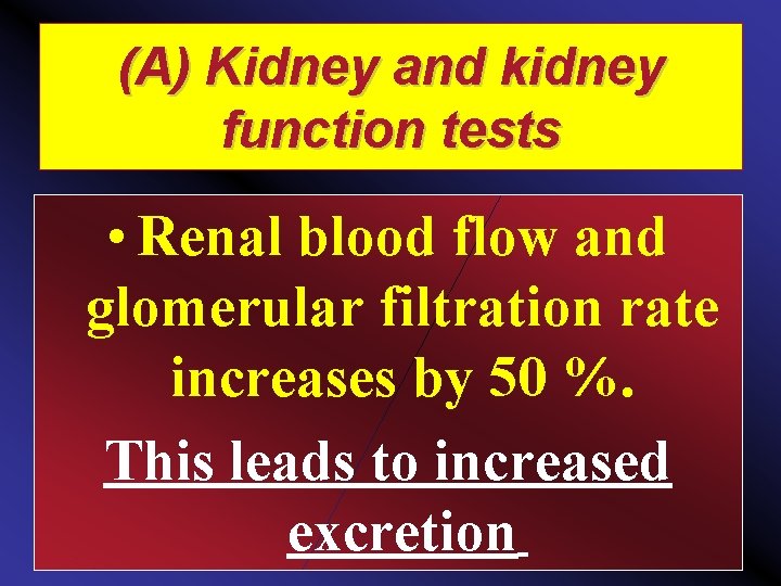 (A) Kidney and kidney function tests • Renal blood flow and glomerular filtration rate
