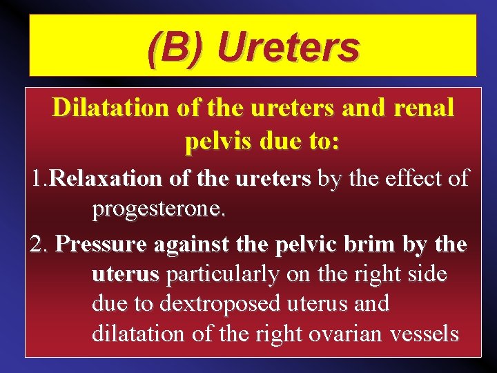 (B) Ureters Dilatation of the ureters and renal pelvis due to: 1. Relaxation of