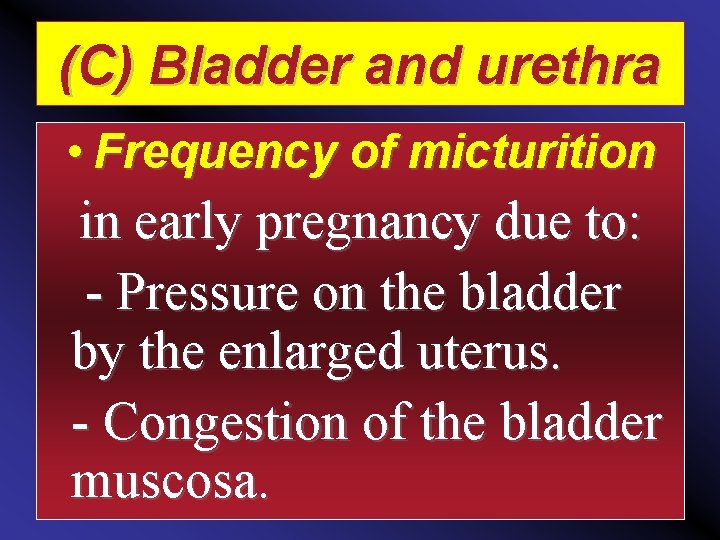 (C) Bladder and urethra • Frequency of micturition in early pregnancy due to: -