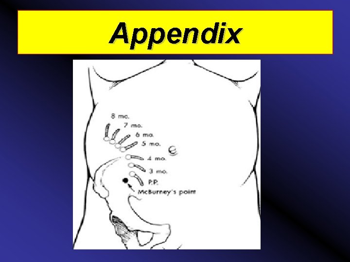 Appendix 