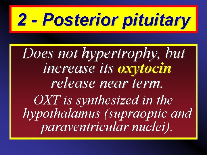 2 - Posterior pituitary Does not hypertrophy, but increase its oxytocin release near term.