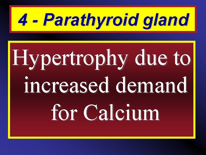 4 - Parathyroid gland Hypertrophy due to increased demand for Calcium 