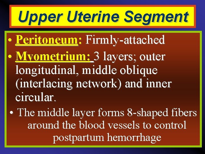 Upper Uterine Segment • Peritoneum: Firmly-attached • Myometrium: 3 layers; outer longitudinal, middle oblique