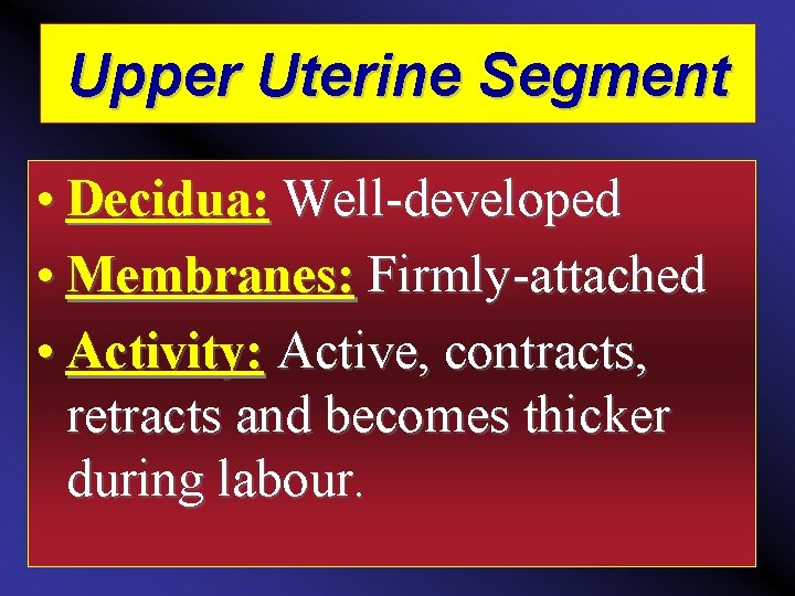 Upper Uterine Segment • Decidua: Well-developed • Membranes: Firmly-attached • Activity: Active, contracts, retracts