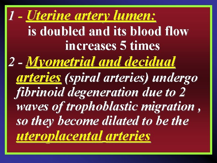 1 - Uterine artery lumen: is doubled and its blood flow increases 5 times