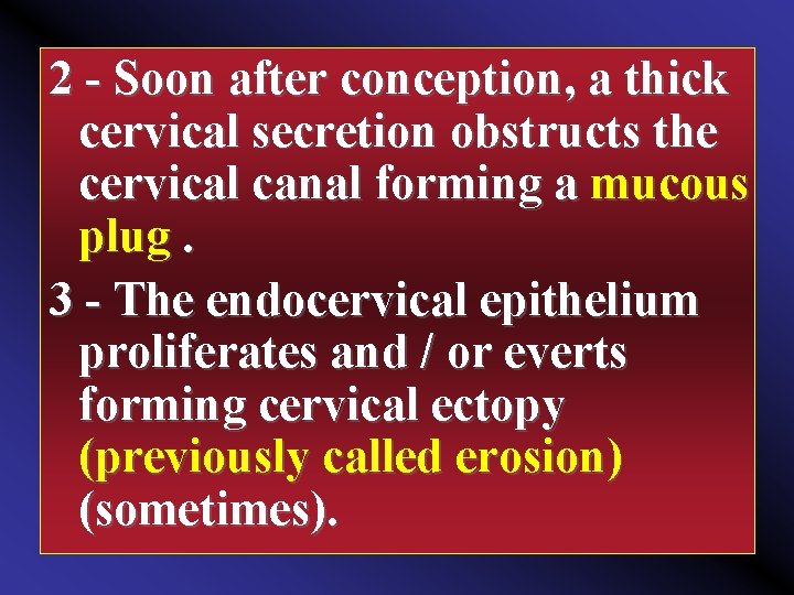 2 Soon after conception, a thick cervical secretion obstructs the cervical canal forming a