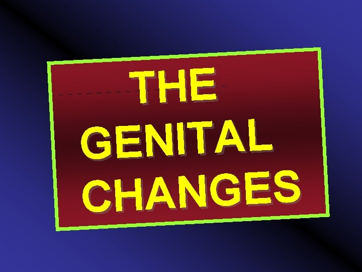 THE L A T I N GE S E G N CHA 