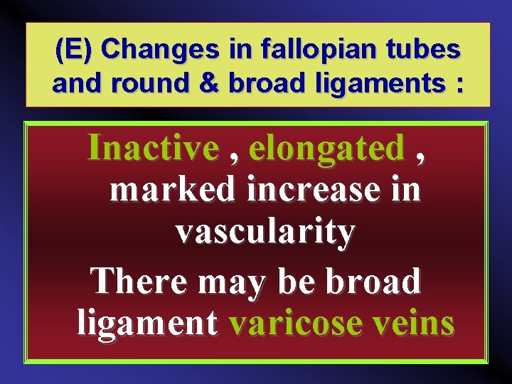 (E) Changes in fallopian tubes and round & broad ligaments : Inactive , elongated