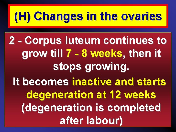 (H) Changes in the ovaries 2 - Corpus luteum continues to grow till 7