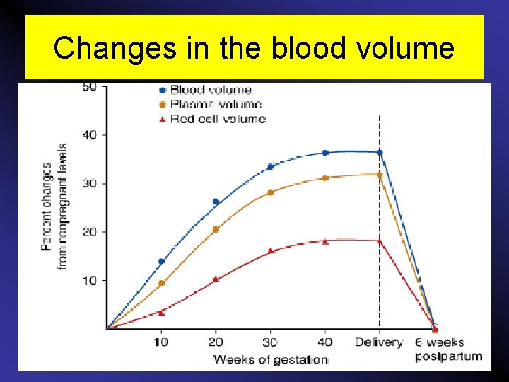 Changes in the blood volume 