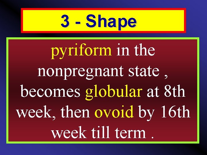 3 - Shape pyriform in the nonpregnant state , becomes globular at 8 th