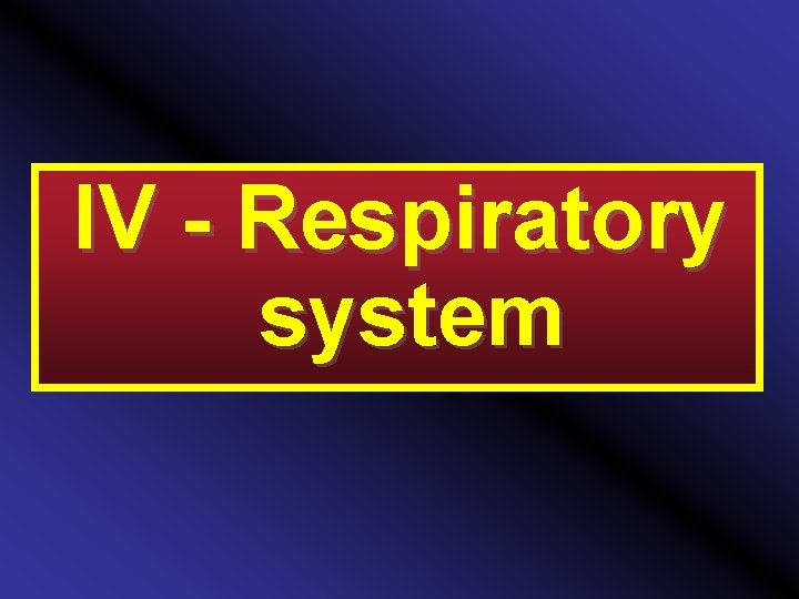 IV - Respiratory system 