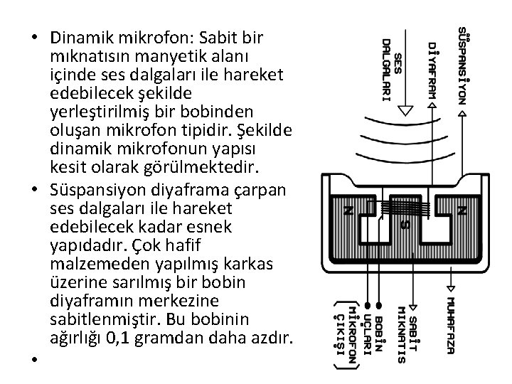  • Dinamik mikrofon: Sabit bir mıknatısın manyetik alanı içinde ses dalgaları ile hareket