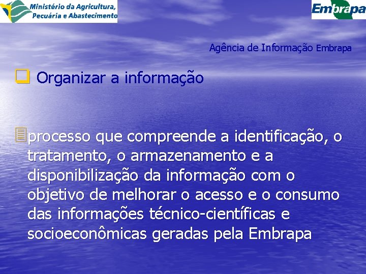 Agência de Informação Embrapa q Organizar a informação 3 processo que compreende a identificação,