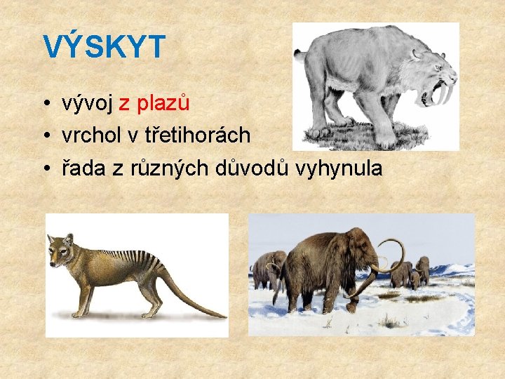 VÝSKYT • vývoj z plazů • vrchol v třetihorách • řada z různých důvodů