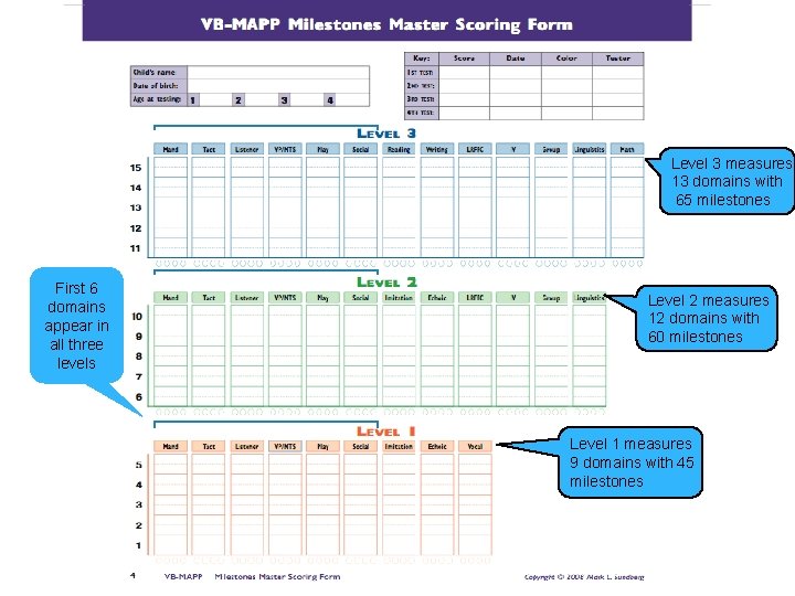 Level 3 measures 13 domains with 65 milestones First 6 domains appear in all