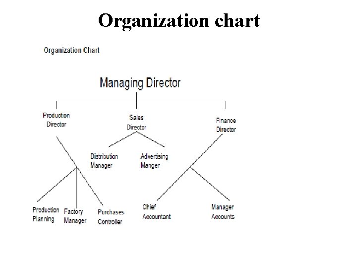 Organization chart 