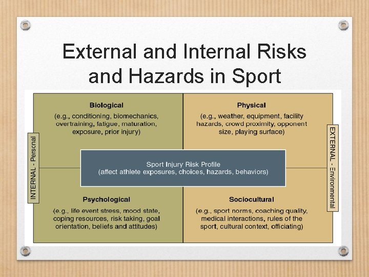 External and Internal Risks and Hazards in Sport 