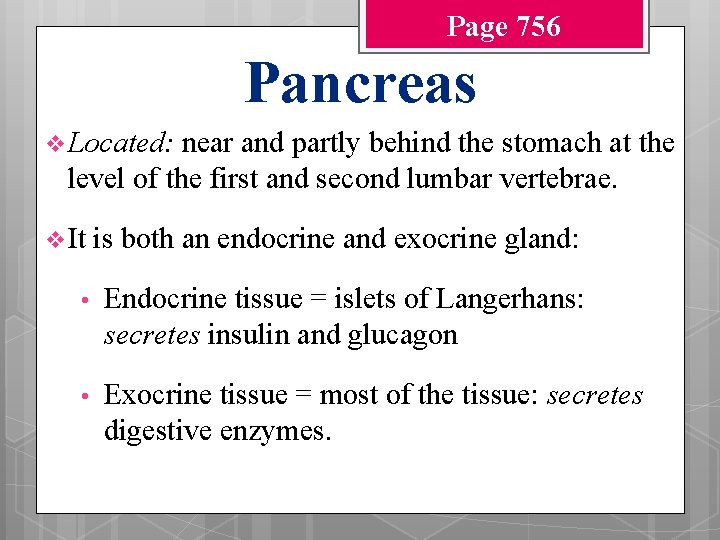 Page 756 Pancreas v Located: near and partly behind the stomach at the level