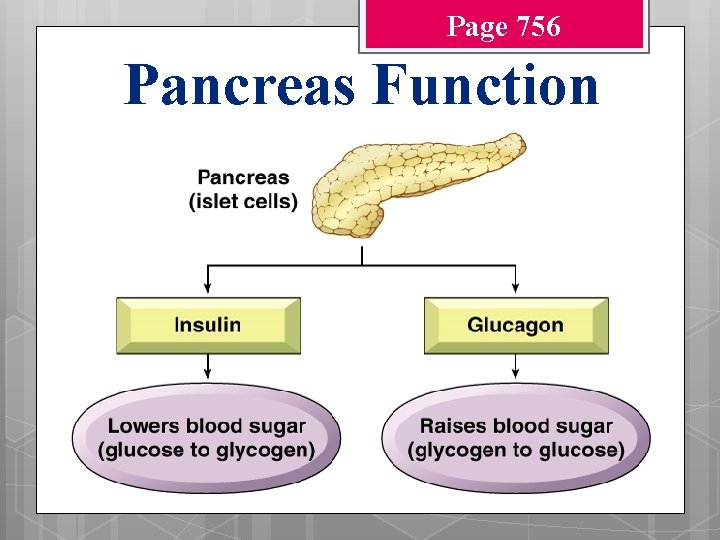 Page 756 Pancreas Function 