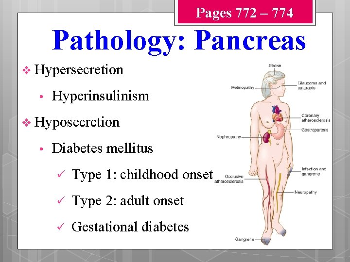 Pages 772 – 774 Pathology: Pancreas v Hypersecretion • Hyperinsulinism v Hyposecretion • Diabetes