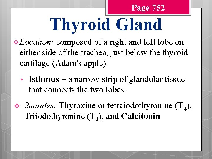 Page 752 Thyroid Gland v Location: composed of a right and left lobe on