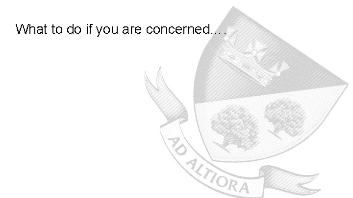 What to do if you are concerned…. 1. Report any cyberbullying, even if it’s