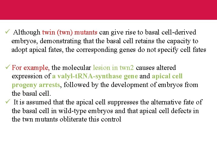 ü Although twin (twn) mutants can give rise to basal cell-derived embryos, demonstrating that