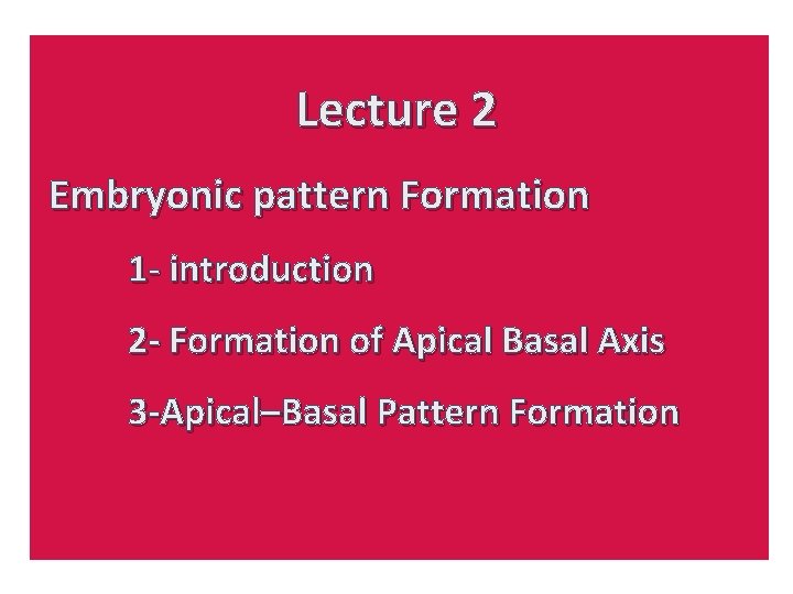Lecture 2 Embryonic pattern Formation 1 - introduction 2 - Formation of Apical Basal