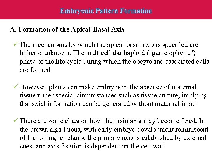 A. Formation of the Apical-Basal Axis ü The mechanisms by which the apical-basal axis